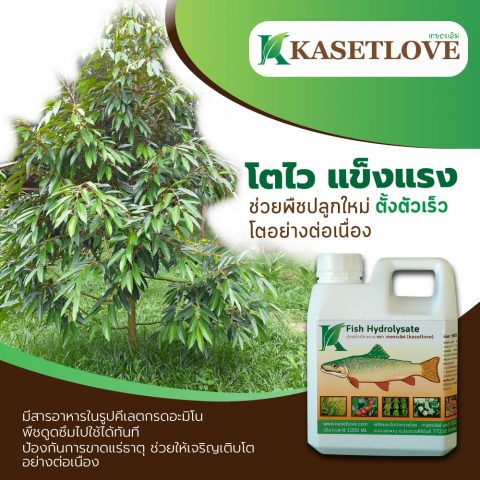 ปุ๋ยอินทรีย์น้ำ 