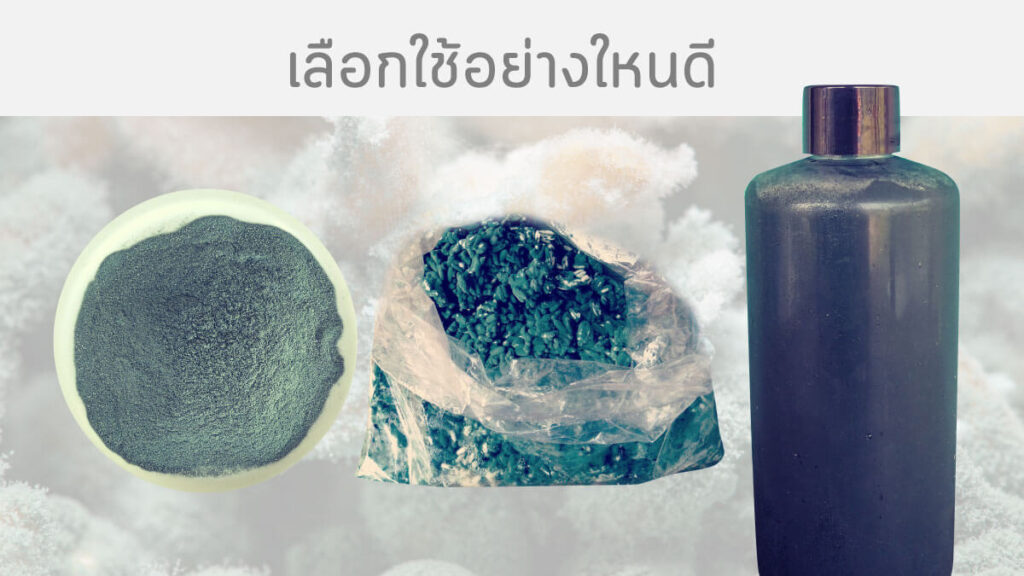 เชื้อราไตรโคเดอร์มา