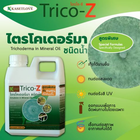 เชื้อรา ไตรโคเดอร์มา