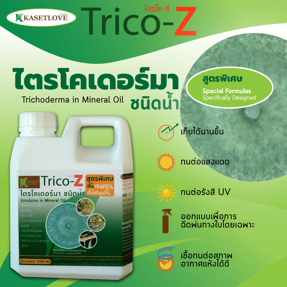 เชื้อรา ไตรโคเดอร์มา