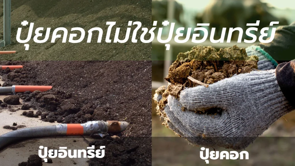 ปุ๋ยคอกไม่ใช่ปุ๋ยอินทรีย์