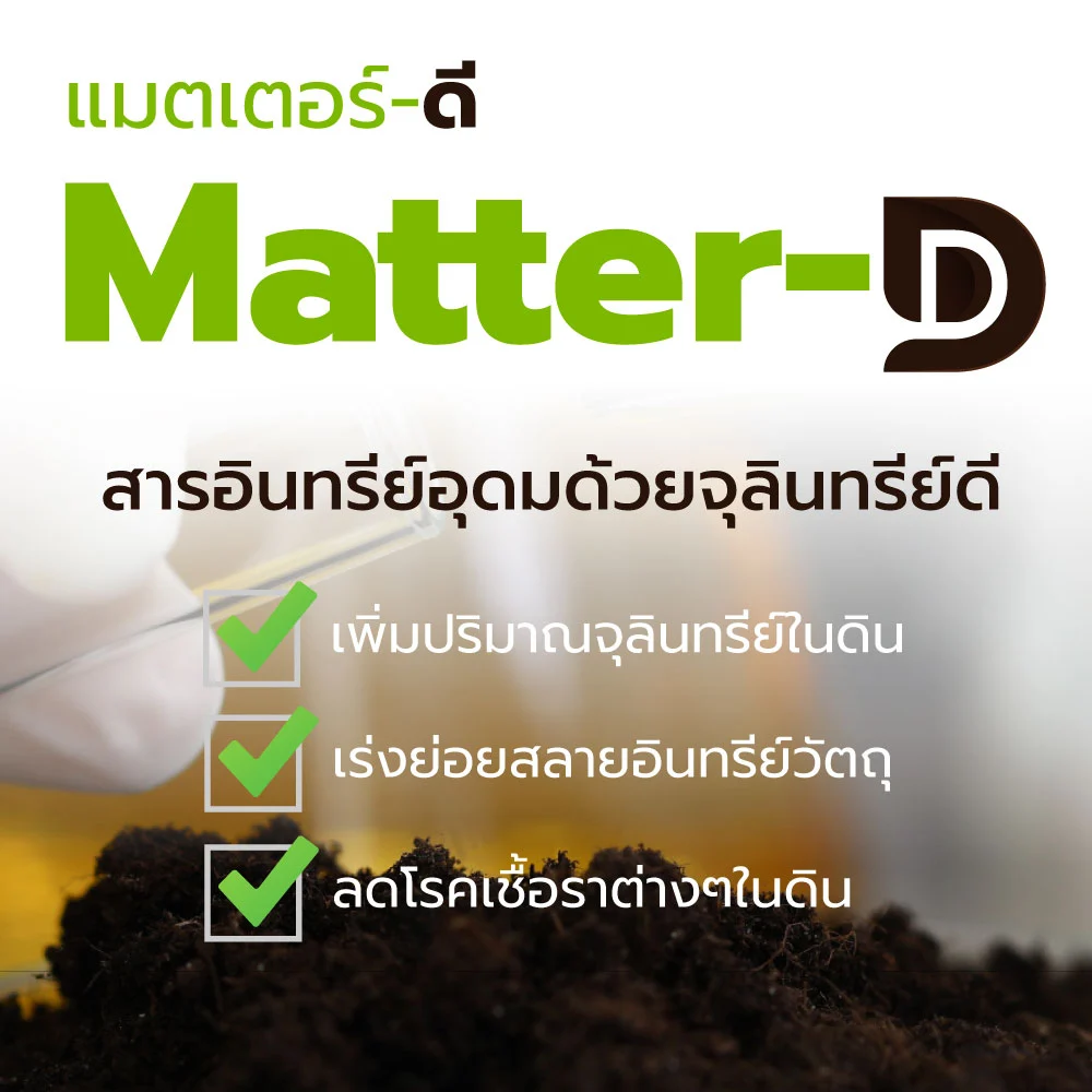 แมตเตอร์ดี สารปรับปรุงดิน