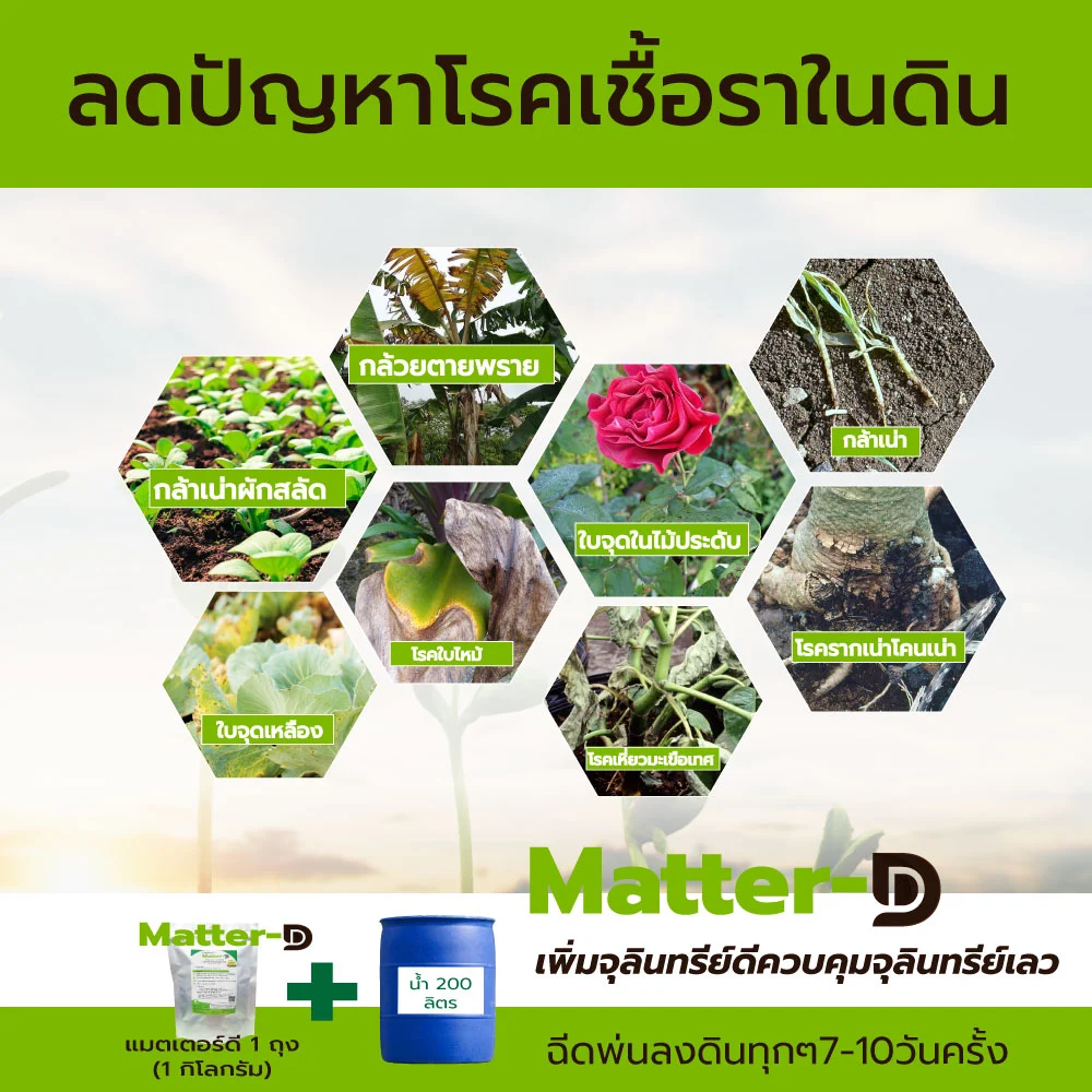 สารอินทรีย์กำจัดเชื้อรา