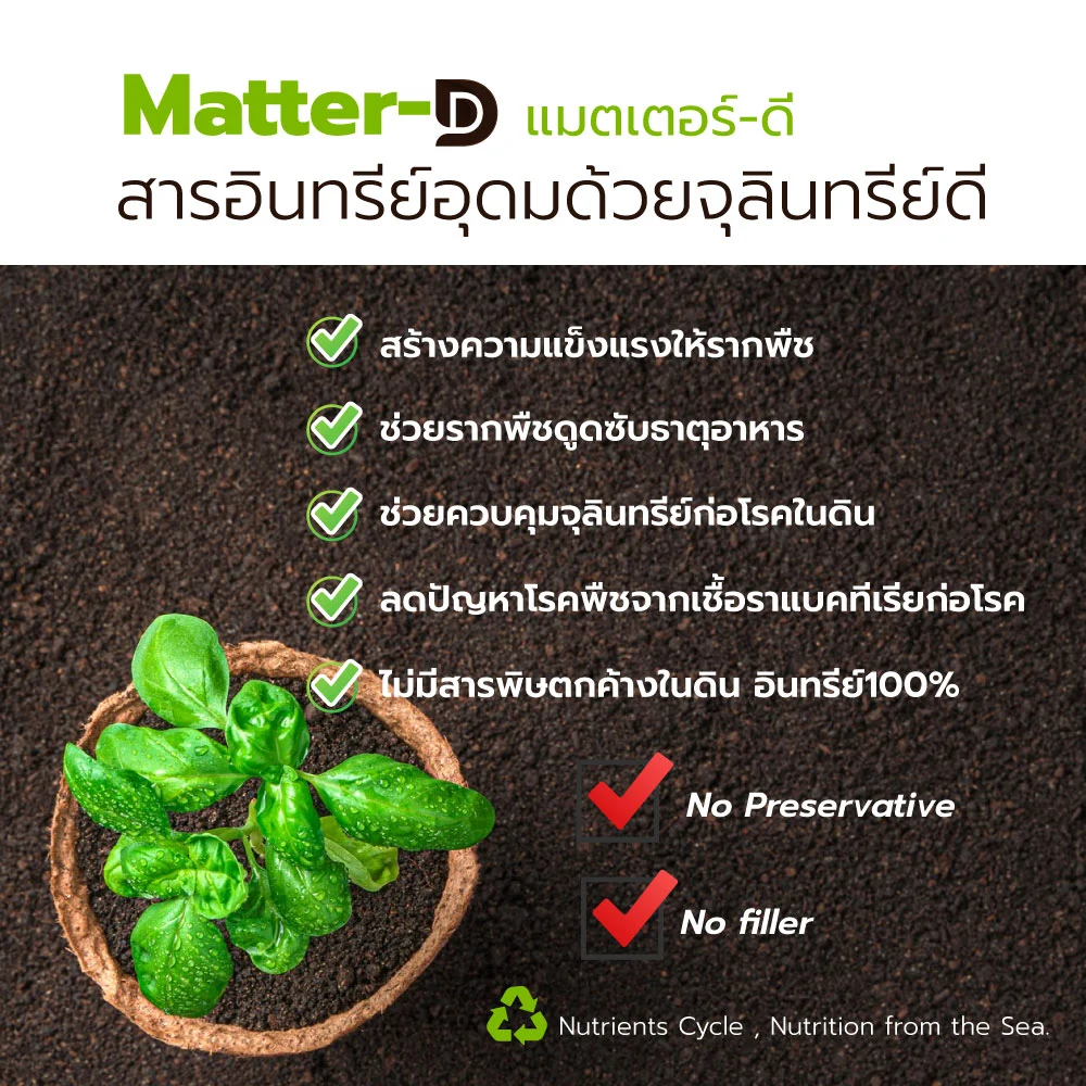 Matter-d แมตเตอร์ดี