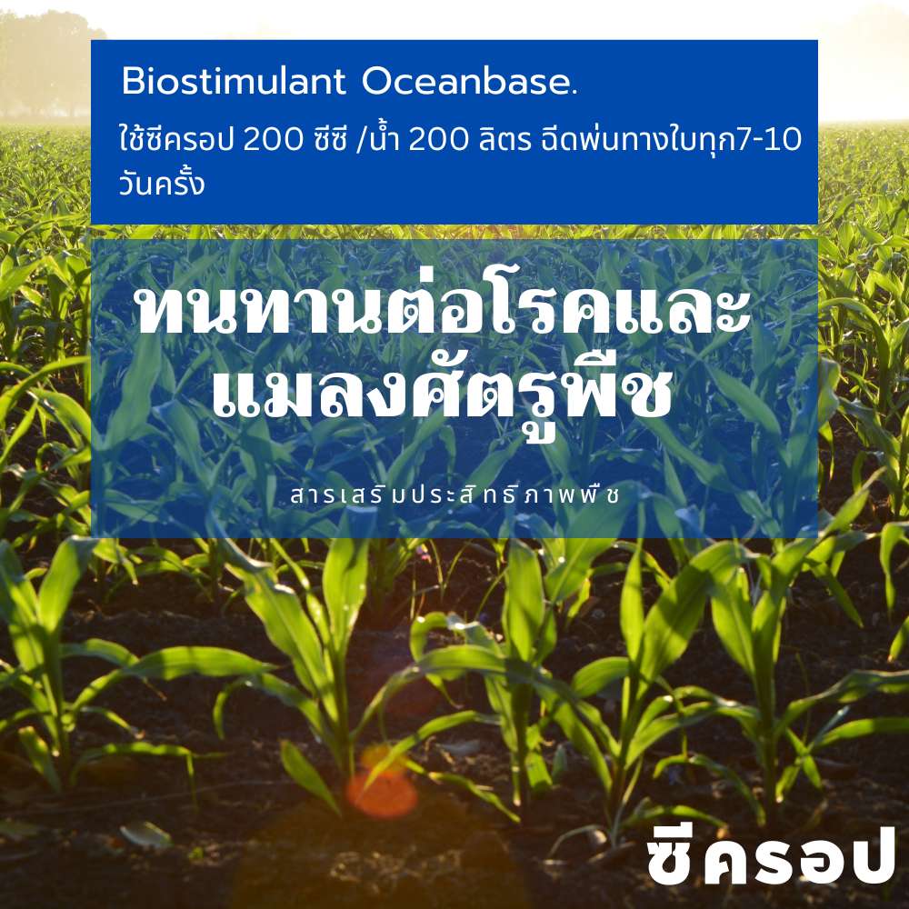 สารเสริมประสิทธิภาพพืชc-krop