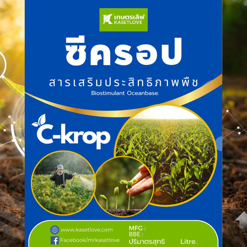 ซีครอป (C-krop) - Image 2