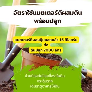 matter-d (แมตเตอร์ดี)ป้องกันกำจัดโรคเชื้อราในพืช