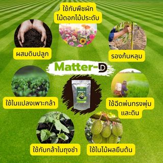matter-d สารปรับปรุงดินป้องกันโรคพืชที่เกิดจากเชื้อราในดิน
