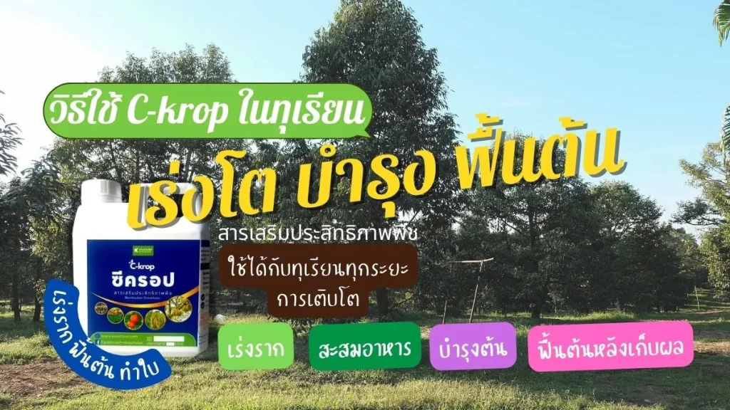 c-krop อาหารเสริมทุเรียน