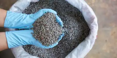 fertilizer management